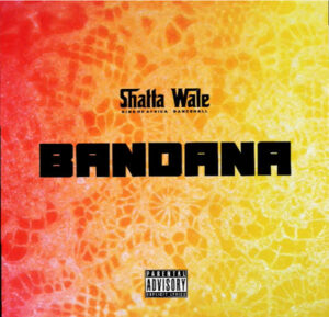 Shatta Wale – Bandana
